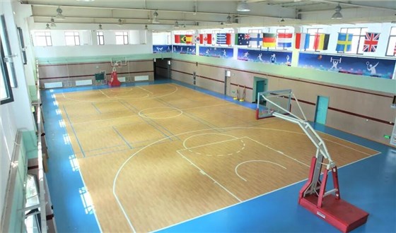 篮球运动地板5
