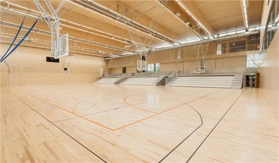 篮球运动地板6
