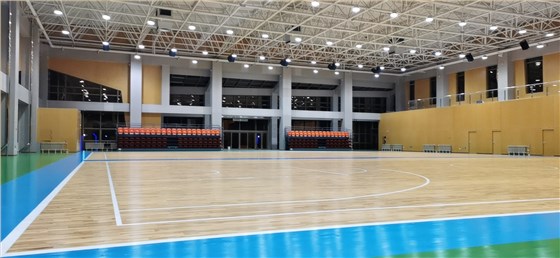 篮球场馆运动木地板