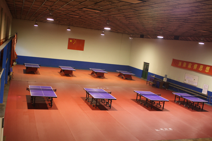 河北乒乓球队，2008年，布纹4.5，730平米