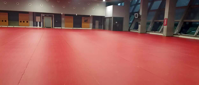 北京奥林匹克体育中心击剑馆运动地板效果图
