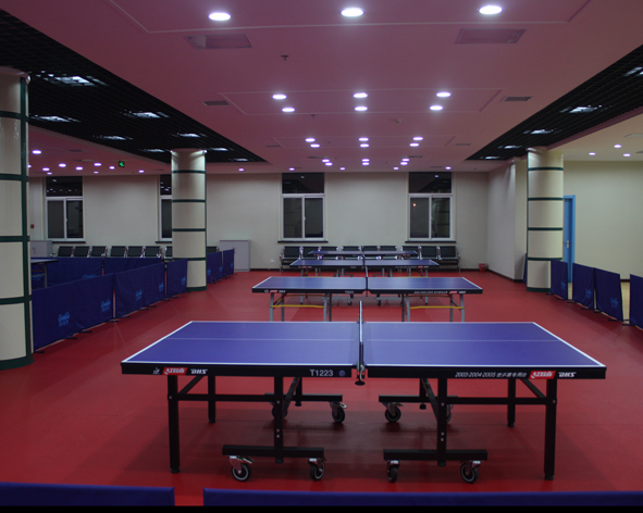 布纹运动地胶/塑胶地板