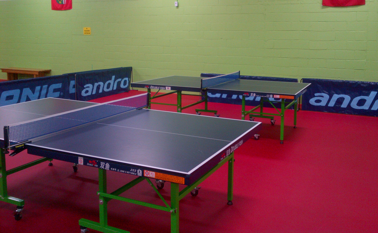 蛇皮纹运动地胶/运动地板 蛇皮纹运动地胶/运动地板