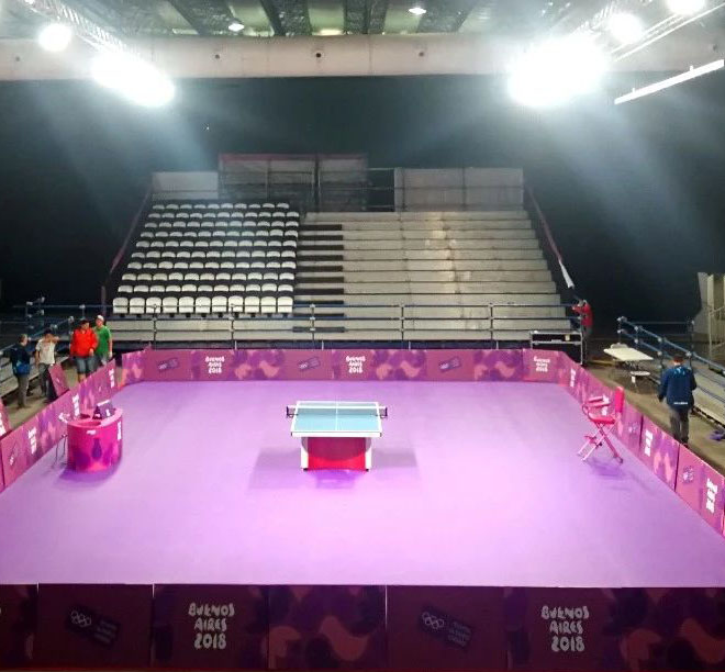 竞技型乒乓球紫色布纹运动地板